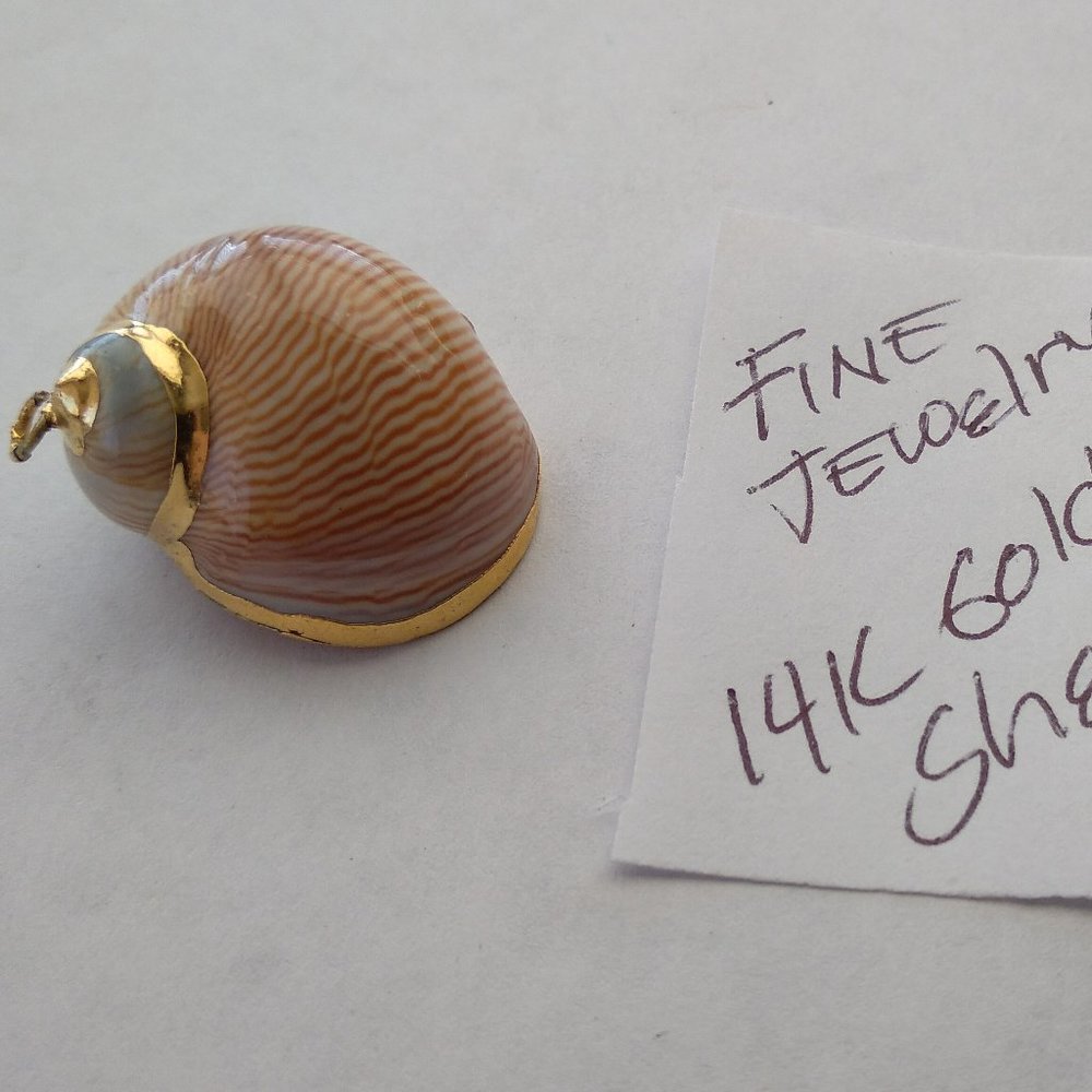 The golden seashell necklace pendant 14 karat gold plated